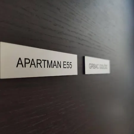 E55